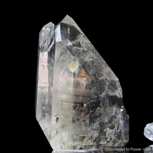 Lemurian Seed Pleiadian Starbrary Twin Record Keeper Crystal 'Museum Quality'