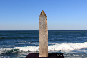 John of God Citrine Casa Crystal Point w/ Devic Temple 'Abundance'