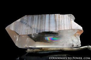 Tangerine Trigonic Quartz Lemurian Seed Record Keeper Crystal 'Very Rare'