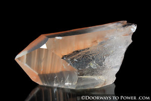 Tangerine Trigonic Quartz Lemurian Seed Record Keeper Crystal 'Very Rare'