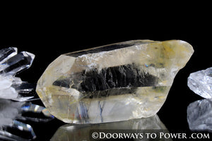 Golden Lemurian Seed Pleiadian Starbrary Record Keeper Crystal