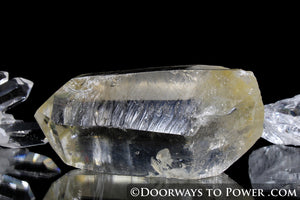 Golden Lemurian Seed Pleiadian Starbrary Record Keeper Crystal