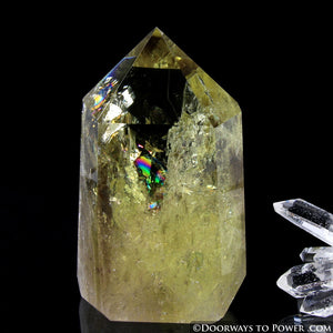 Citrine & Smokey Casa Crystal Point | Devic Temple & Rainbows 'Very Rare'