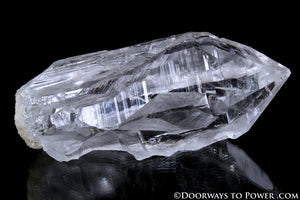 Himalayan Nirvana Quartz Crystal 'GALACTIC STARGATE' Starbary Record Keeper Rare