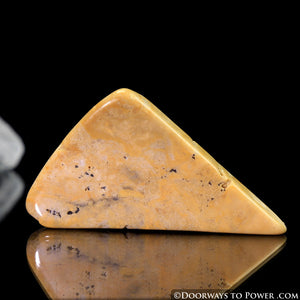 Lemurian Gold Azeztulite Tumbled & Polished Slice (New)