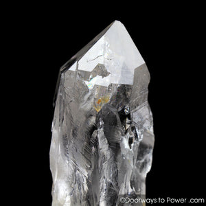 Himalayan Quartz Crystal Nirvana 'GALACTIC STARGATE' Starbary Record Keeper Rare