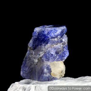 Tanzanite Record Keeper Crystal | Synergy 12 Stone 'Collector Quality'