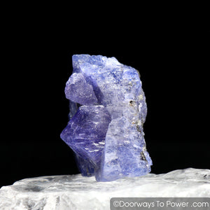Tanzanite Crystal Specimen | Synergy 12 Stone A+++