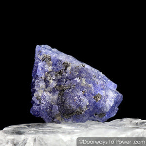Tanzanite Crystal Specimen | Synergy 12 Stone A+++