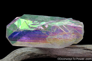 Angel Aura Danburite Drusy Crystal w/ Record Keeper Amazing A +++