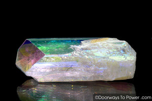 Angel Aura Danburite Drusy Crystal w/ Record Keeper Amazing A +++