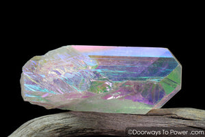 Angel Aura Danburite Drusy Crystal w/ Record Keeper Amazing A +++