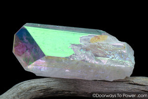 Angel Aura Danburite Drusy Crystal w/ Record Keeper Amazing A +++