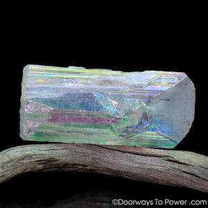 Angel Aura Danburite Synergy 12 Crystal w/ Pleiadian Starbrary