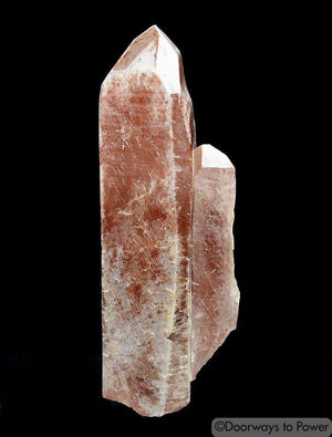 Scarlet Temple Starbary Lightning Strike Lemurian Quartz Crystal