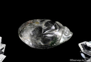 Shaman Dream Quartz Galactic Star Guardian Crystal Skull