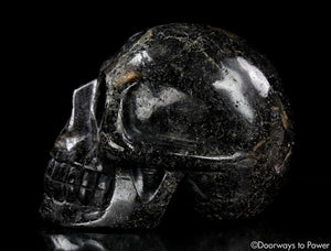 Ancient XL Nuummite Crystal Skull Rare 3 Billion Years Old