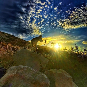 Terra Olive Earth Shaman Monatomic Andara Crystal 'Ancient Earth Keeper'