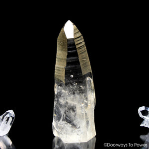 Golden Healer Lemurian Seed Pleiadian Starbrary Record Keeper Dolphin Crystal