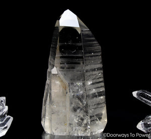 Golden Lemurian Star Seed Quartz Record Keeper Grounding Crystal