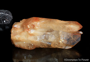 Lemurian Seed Tangerine Aura Imperial Gold Pleiaidan Starbrary Record Keeper Crystal