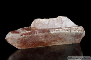 Scarlet Temple Starbary Lightning Strike Lemurian Quartz Crystal
