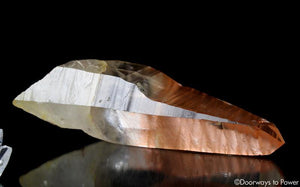 Tangerine Dream Lemurian Master Record Keeper Crystal Wand 'Densities & Doorways'