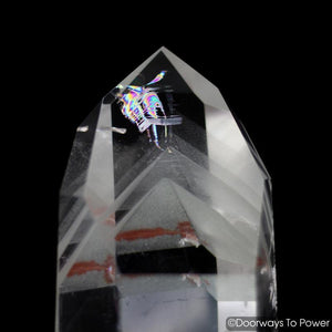'Butterfly Effect' Casa Crystal Rainbow Quartz