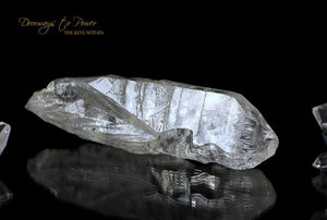 Leandro De Souza Crystal Carvings