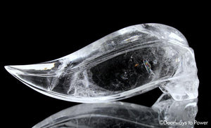 LeMurian Traveler Quartz Crystal Skull 'Dreamer' Leandro De Souza