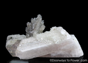 Danburite Twin Record Keeper Crystal | Covered in Druzy Crystals