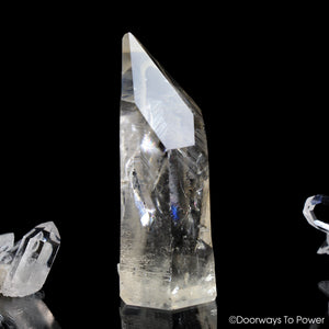 Lemurian Seed Pleiadian Starbrary Twin Record Keeper Crystal 'Museum Quality'