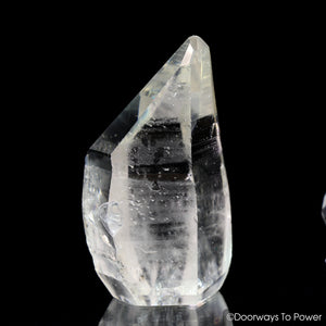 Lemurian Seed Pleiadian Starbrary Record Keeper Crystal 'Collectors Quality'