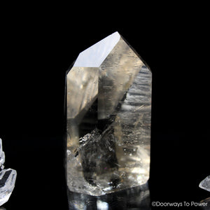 Golden Healer Lemurian Seed Sunken Record Keeper Crystal 'Rare & Special'