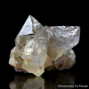 Golden Azeztulite Quartz Crystal Tantric Twin Azozeo Activated RARE