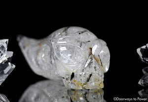Black Tourmalinated Star Traveler Quartz Crystal Skull 'Traveling Space & Time'