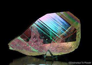 Angel Aura Lemurian Seed Quartz Crystal Record Keeper