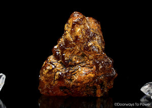 Kaurilite Rare Large A++ Natural Specimen