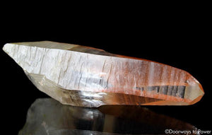 Tangerine Dream Lemurian Master Record Keeper Crystal Wand 'Densities & Doorways'