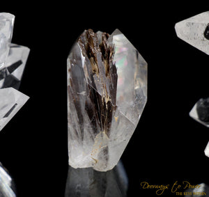 Brookite Synergy 12 Stone