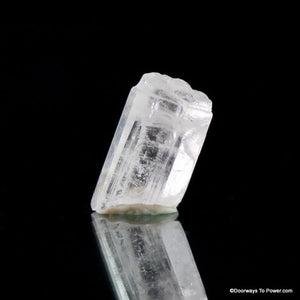 Burmese Phenacite Phenakite Synergy 12 stone Crystal