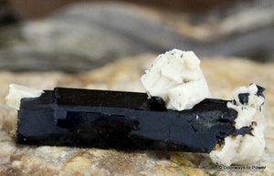 Aegirine Crystal w/ Feldspar