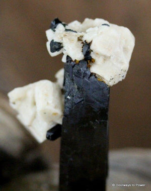 Aegirine Crystal w/ Feldspar