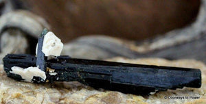 Aegirine Natural Crystal w/ Feldspar