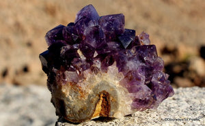 Amethyst Flower Crystal Cluster