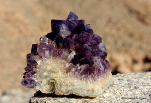 Amethyst Flower Crystal Cluster