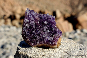 Amethyst Quartz Crystal Cluster