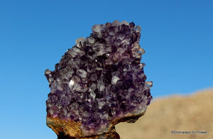 Amethyst Quartz Crystal Cluster