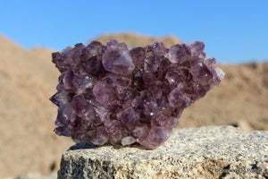 Amethyst Quartz Crystal Cluster