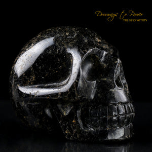 Ancient Nuummite Crystal Skull